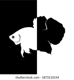 Vector silhouette of a betta fish with two different sides. Vector illustration.