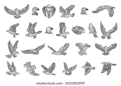 Vector Silhouette Big Set Logo Mascot Sketch of Predator Eagle Bird in Various Poses