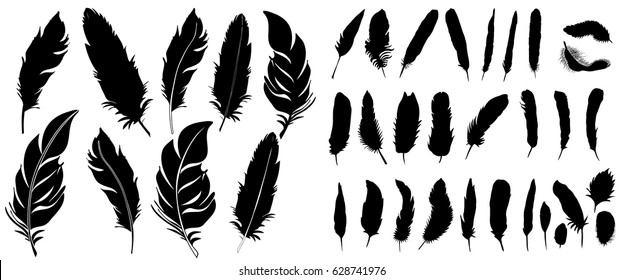 Vector, silhouette of bird feather, collection