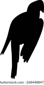 Silueta de Vector de un pájaro aleteando sus alas