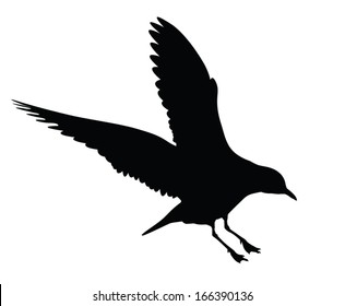 Vector silhouette of the Bird in landing posture.