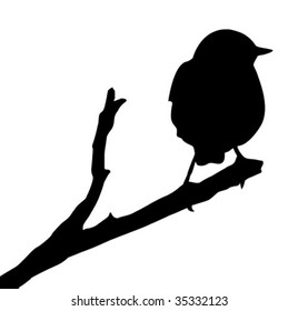 vector silhouette of the bird on branch