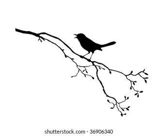 Vector Silhouette Of The Bird On Branch Tree