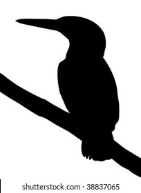 vector silhouette of the bird on branch