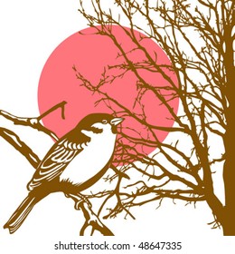 vector silhouette of the bird on branch