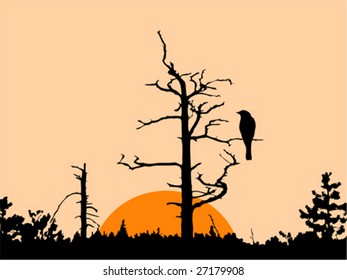 silueta vectorial del ave sobre el árbol seco