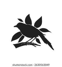Silueta de Vector de un pájaro en una rama frondosa sin fondo
