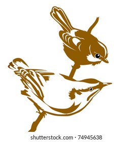 vector silhouette of the bird on white background