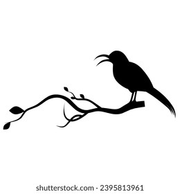 Silueta vectorial de un pájaro encaramado en una rama de árbol, decoración art, decoración de pared, pegatina de pared, pájaro aislado en un fondo blanco