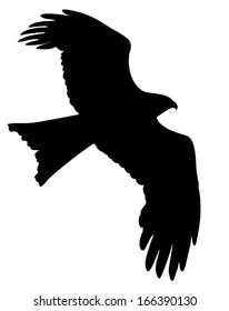 Vector silhouette of the Bird of Prey in flight.