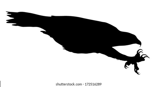 Vector silhouette of the Bird of Prey (Osprey) in attack dive with talons open.