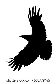 Vector silhouette of the Bird (Raven) in flight with wings spread.