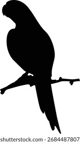 Vector silhouette of birds and branches, silhouette of birds on tree branches