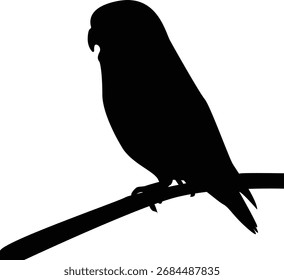 Vector silhouette of birds and branches, silhouette of birds on tree branches