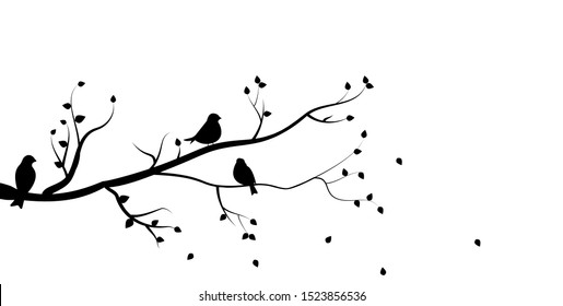 vector silhouette of the birds on branch
