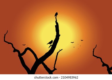 vector silhouette of the birds on branch tree, Sunset scenery, vector silhouette of the birds on a branch.