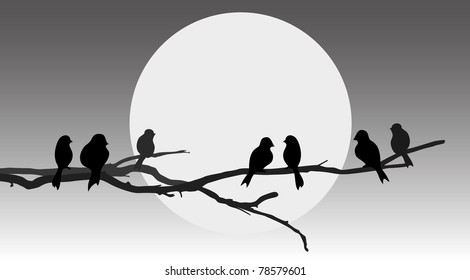 vector silhouette birds on branch tree