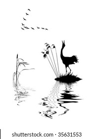 vector silhouette of the birds on lake