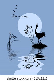 vector silhouette of the birds on lake