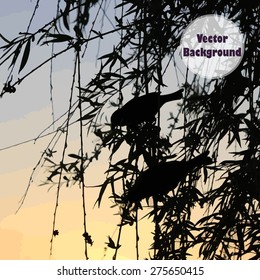 Vector silhouette of birds on the tree