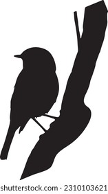 Vector silhouette birds on white background. Tattoo