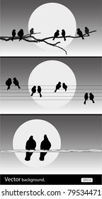 vector silhouette birds. Set of vector illustration