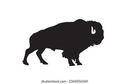 Vector silhouette of  bison isolated on white, black figure graphical illustration