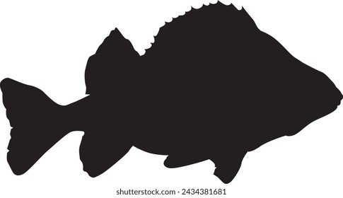 Vector silhouette of a black bass fish swimming