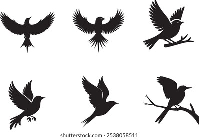 silhueta de vetor preto pássaro conjunto design no ilustrador