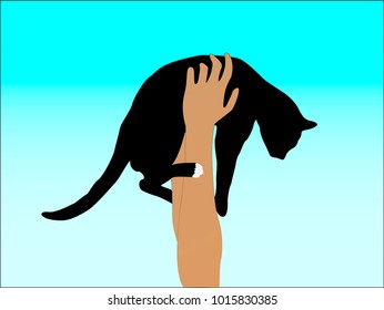 Vector silhouette of a black cat in the hands up of a woman