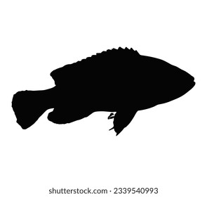 Vector silhouette of a black cichlid fish on a white background isolated element for a menu sign design template