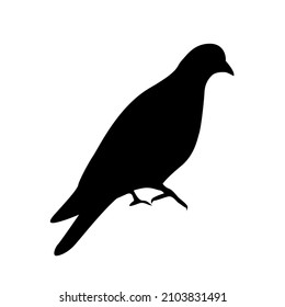 vector silhouette in black color dove