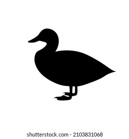 vector silhouette in black color duck