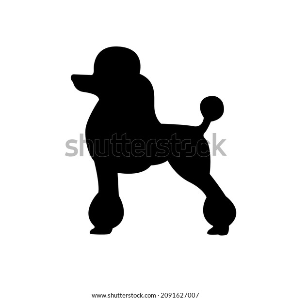 4,569 Silhouette Poodle Images, Stock Photos & Vectors | Shutterstock