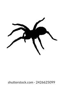 vector silhouette black tarantula spider