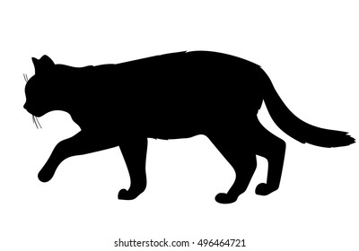 Vector silhouette black walking cat isolated on white background