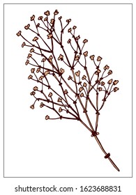 Vector silhouette of a blade of grass. Isolated drawing of herbs on a white background. Contour element for design in a floral style. Vector stock illustration
