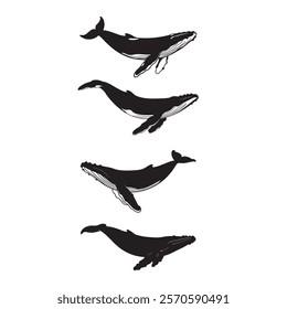 Vector Silhouette of Blue Whale