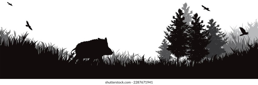 Vector silhouette of boar in a forest. Symbol of wild and nature.