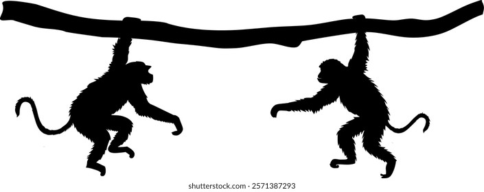 Vector silhouette body - 2 monkeys hanging on a thick branch