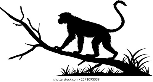 Vector silhouette body - monkey isolated - chimpanzee in the wild on a branch