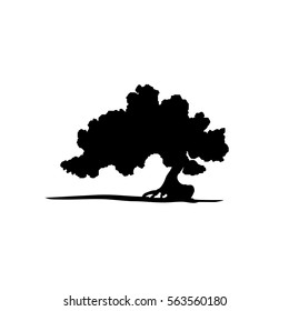 Vector silhouette of bonsai tree.