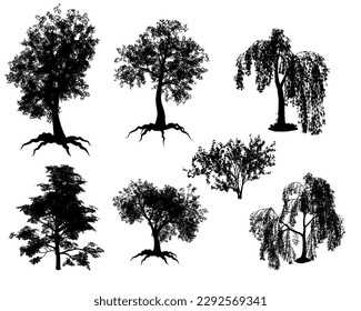 vector de silueta árbol botánico con follaje aislado sobre fondo blanco