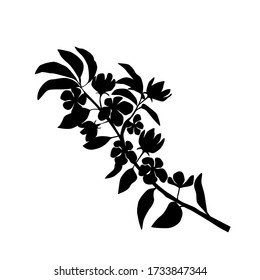 Vector Silhouette der Apfel- oder Kirschbäume mit Blumen, schwarz, isoliert auf weißem Hintergrund