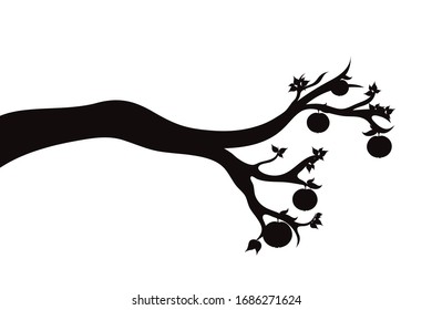 Vector silhouette of branch with apples on white background. Symbol of nature.