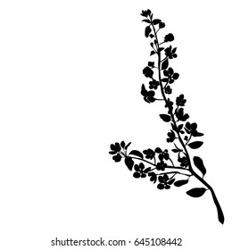 Vector silhouette of the branch with flowers, black color, isolated on white background