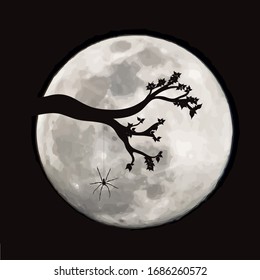 Vector silhouette of branch with spider on moon background. Symbol of night.