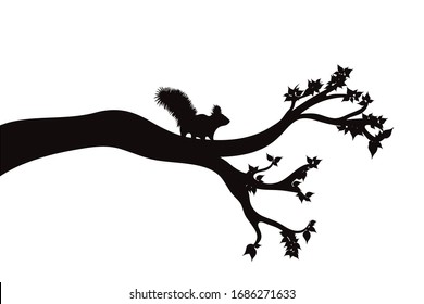Vector silhouette of branch with squirrel on white background. Symbol of nature.
