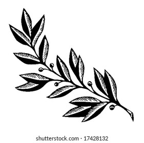 vector silhouette of the branch tree on white background