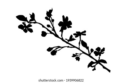 Vector silhouette of the branch of trees, with leaves, flowers, black color, isolated on white background